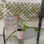 Apartment In