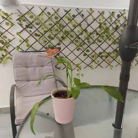 Apartment In