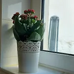 Appartement In *