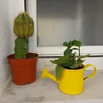 In