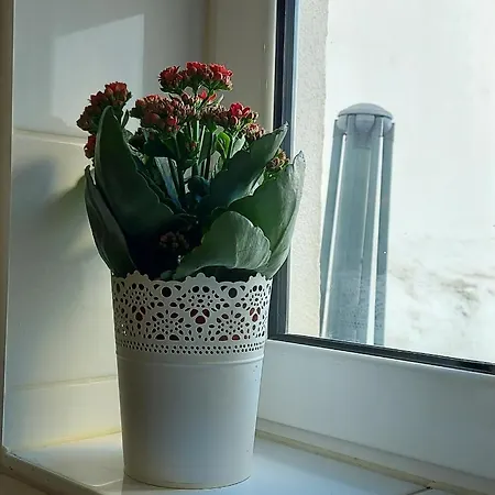 Apartamento In *